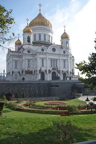 Храм ХС травосмесь гном; теневая; солнечная поляна