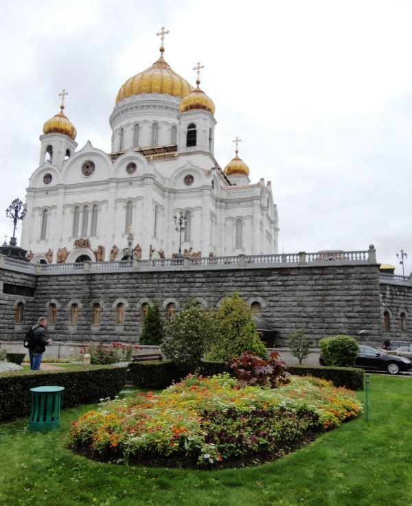 Травосмесь "Гном", Травосмесь "Солнечная поляна"